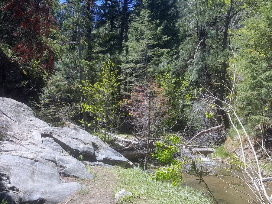 Rock on the Beaver Brook to Chavez Trail Loop Hike near Denver, Colorado