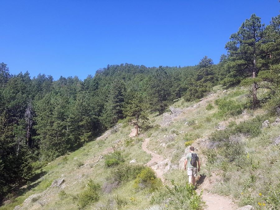 Trail on the Elk Meadow Park Hike near Denver, Colorado