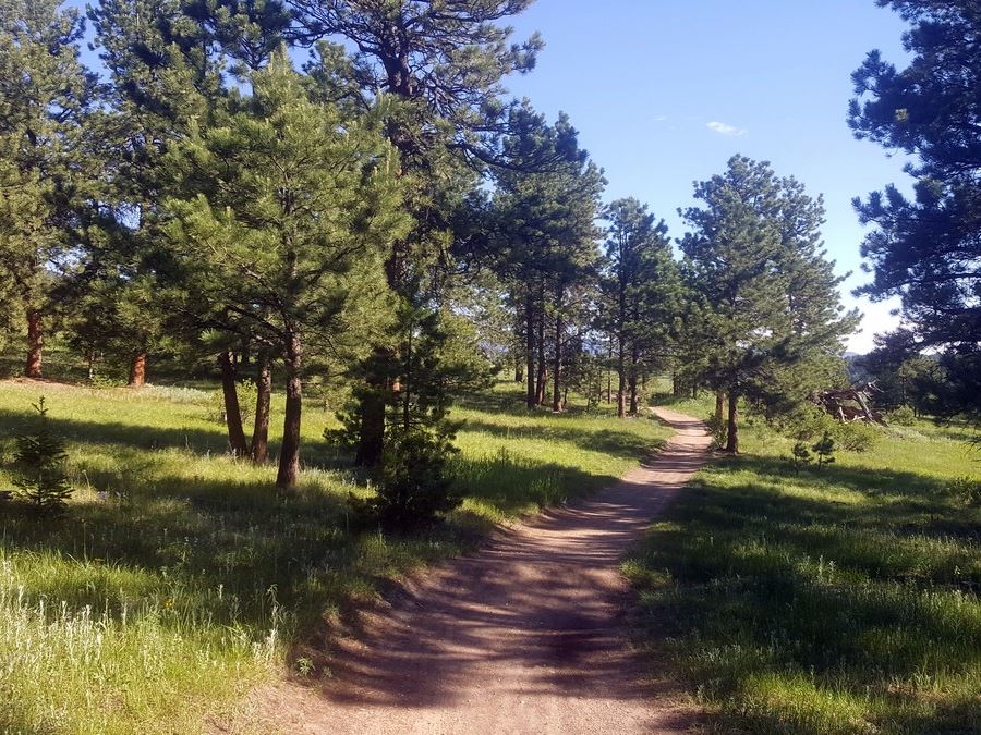 Start of the Elk Meadow Park Hike near Denver, Colorado