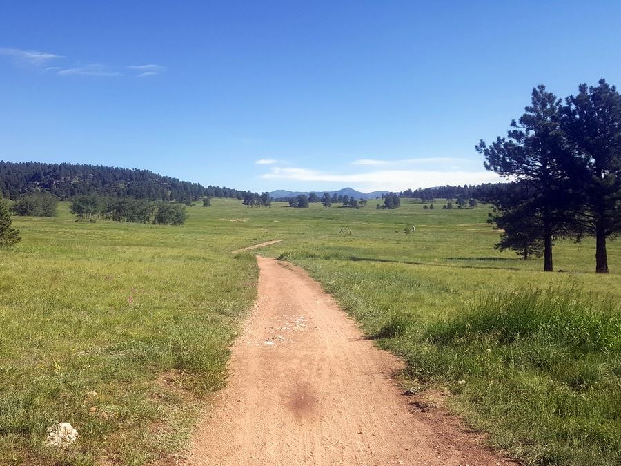 Meadow on the Elk Meadow Park Hike near Denver, Colorado