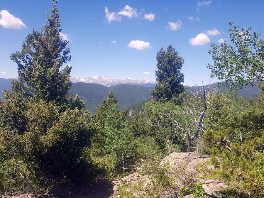 Bergen Peak summit from the Elk Meadow Park Hike near Denver, Colorado