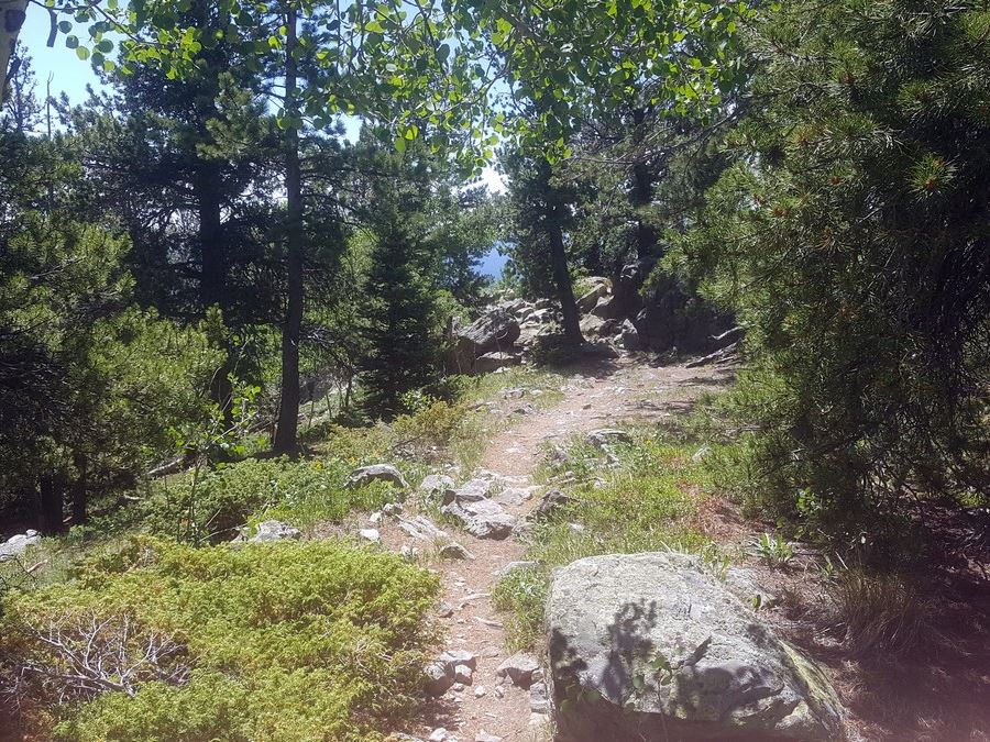 Bergen Peak views on the Elk Meadow Park Hike near Denver, Colorado