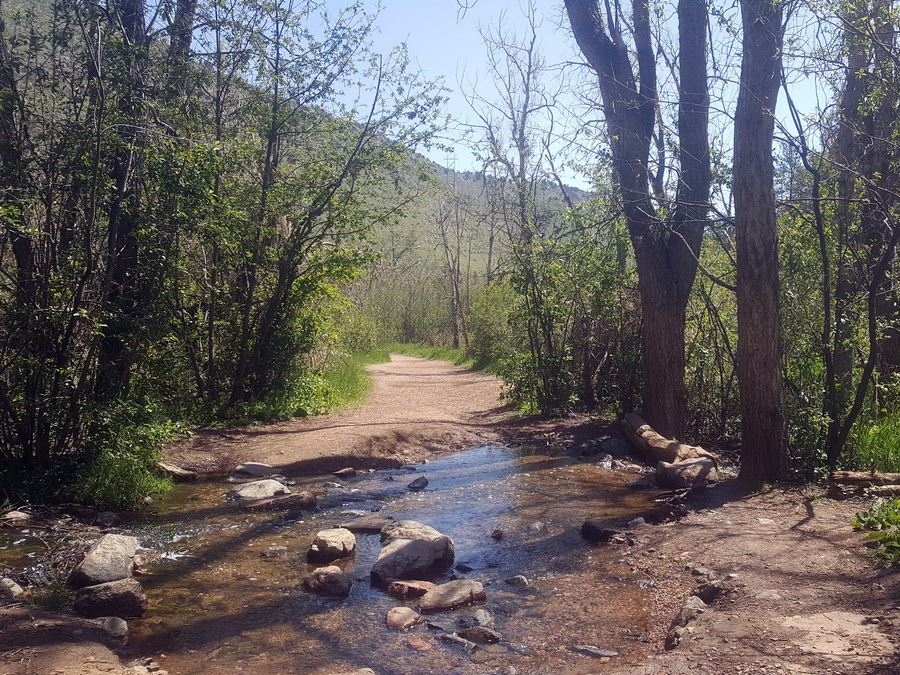 Creek crossing on the Lair o' the Bear Park Hike near Denver, Colorado