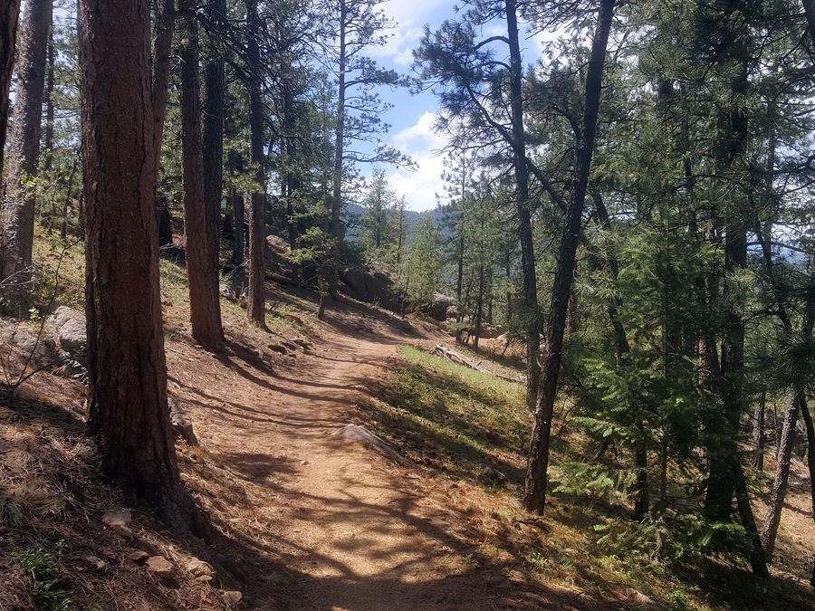 Wooded trail on the Lair o' the Bear Park Hike near Denver, Colorado