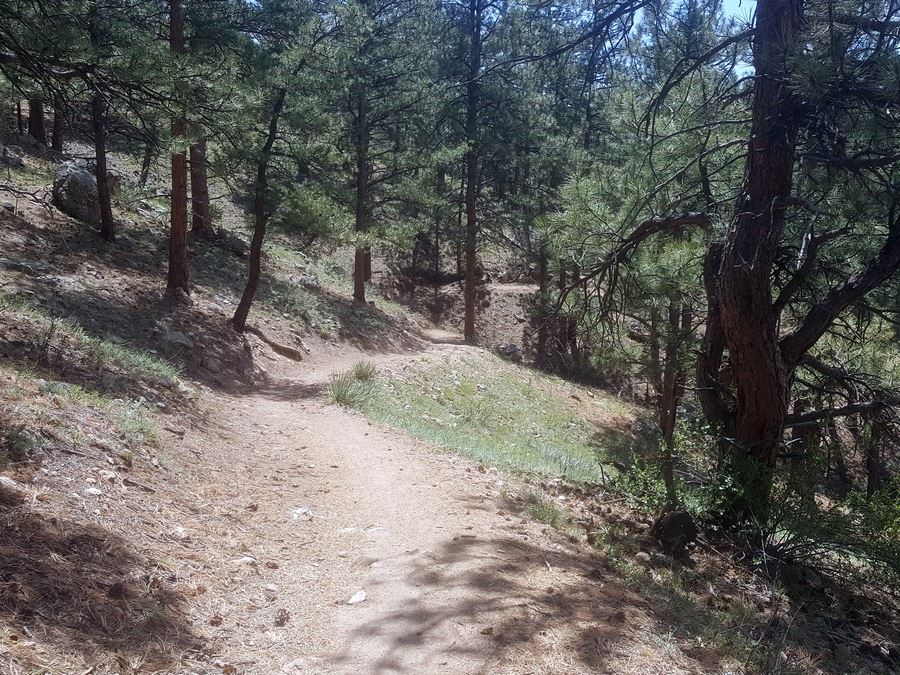 Trail view of the Lair o' the Bear Park Hike near Denver, Colorado