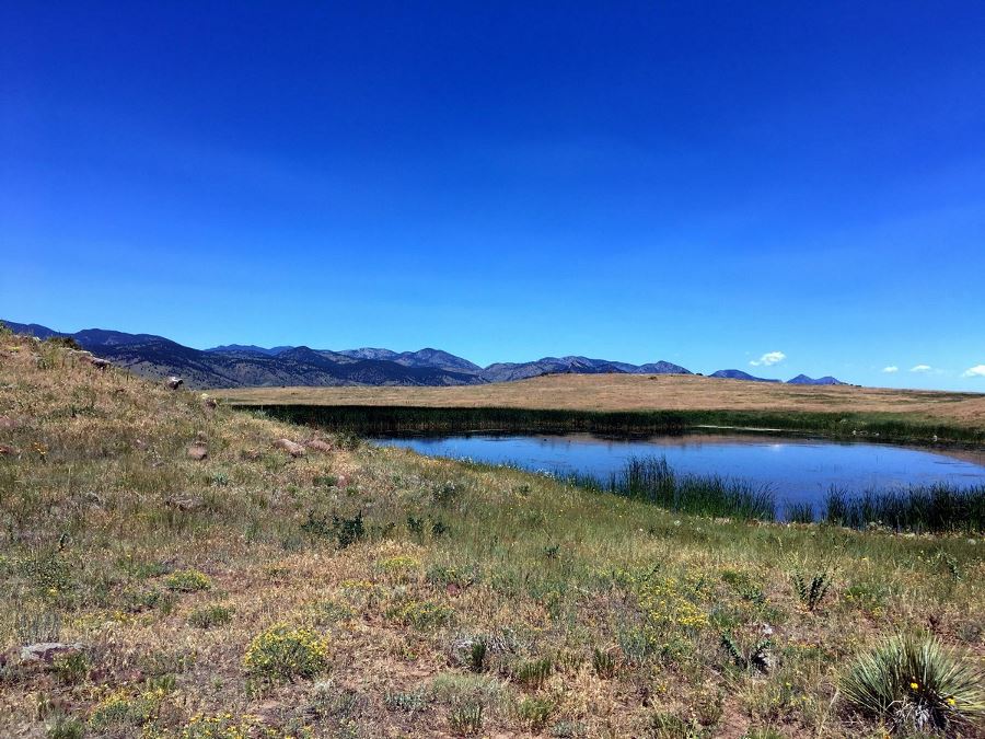 Pond at the top of the North Table Park Hike near Denver, Colorado