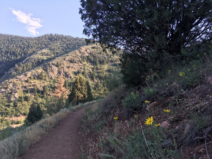 Switchback from the Centennial Cone Park Hike near Denver, Colorado