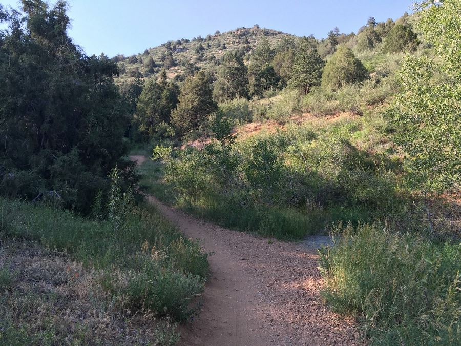 Views from the Centennial Cone Park Hike near Denver, Colorado