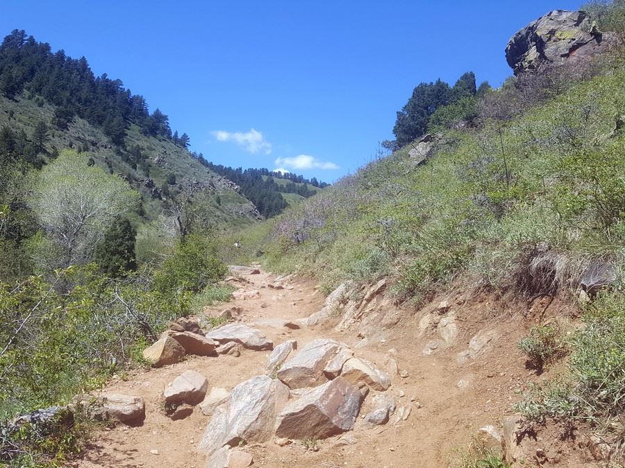 First mile of the Enchanted Forest Trail Hike near Denver, Colorado