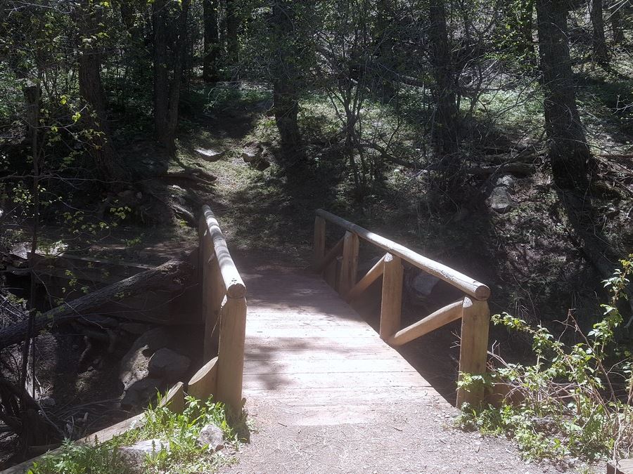 Entrance to the forest on the Enchanted Forest Trail Hike near Denver, Colorado