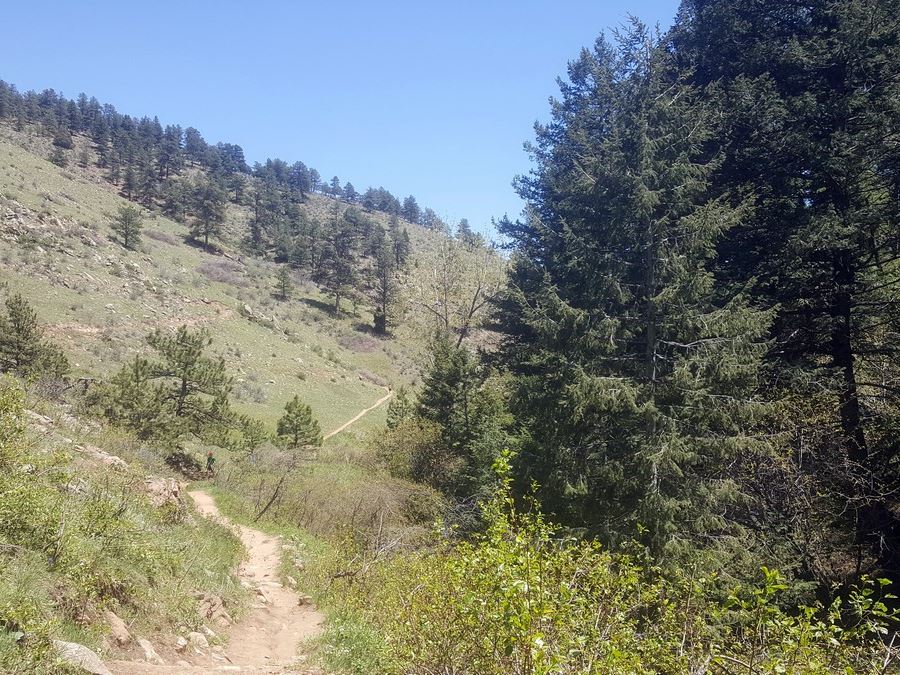 Apex trail from the Enchanted Forest Trail Hike near Denver, Colorado