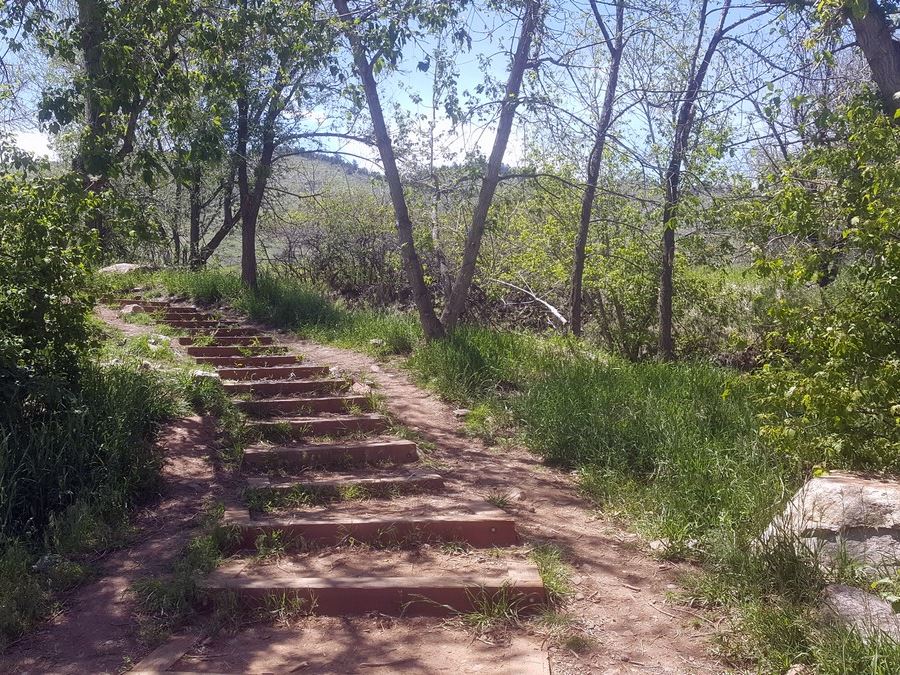 Stairs on the Enchanted Forest Trail Hike near Denver, Colorado