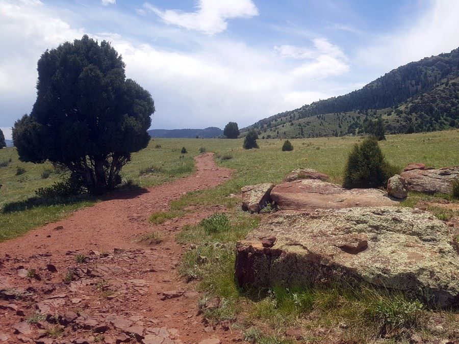 Top of the mesa on the Matthew/Winters Park Hike near Denver, Colorado