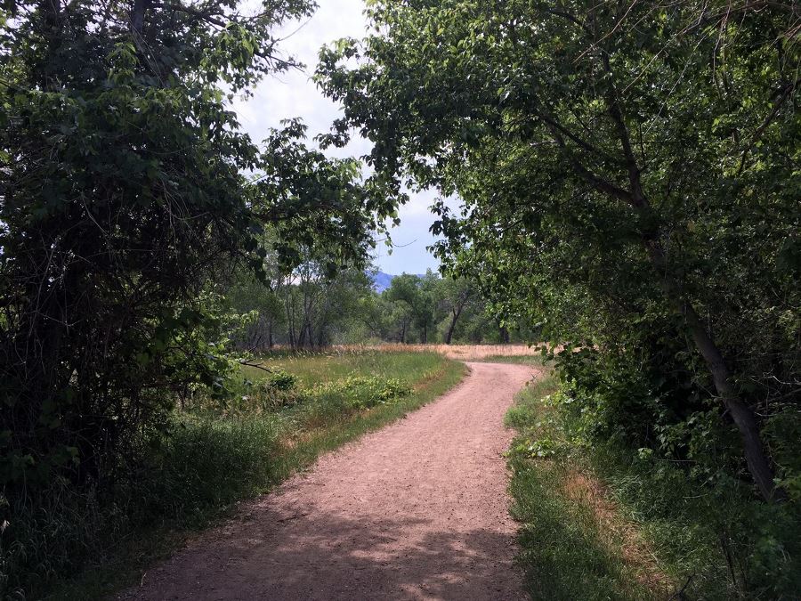 Opening into the clearing from the Bear Creek State Park Hike near Denver, Colorado