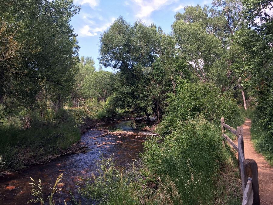 River by the Bear Creek State Park Hike near Denver, Colorado