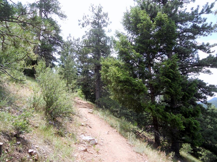 Parmalee Loop from the Mount Falcon Park Hike near Denver, Colorado