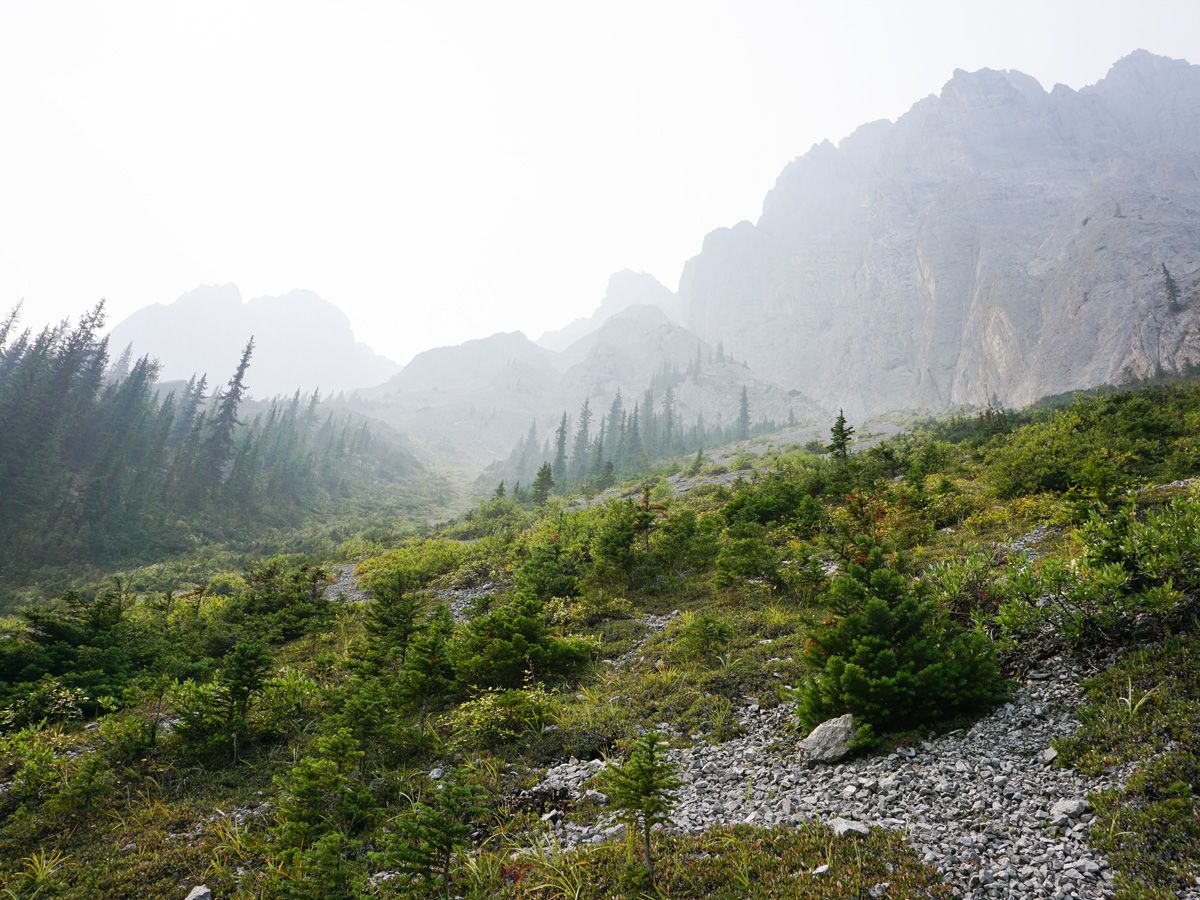 Fog on the trail of the Edith and Cory Pass Circuit Hike in Banff, Alberta