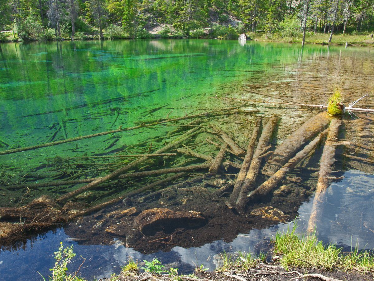 Visiting beautiful Grassi Lake is a great idea for the family's vacation in Canmore