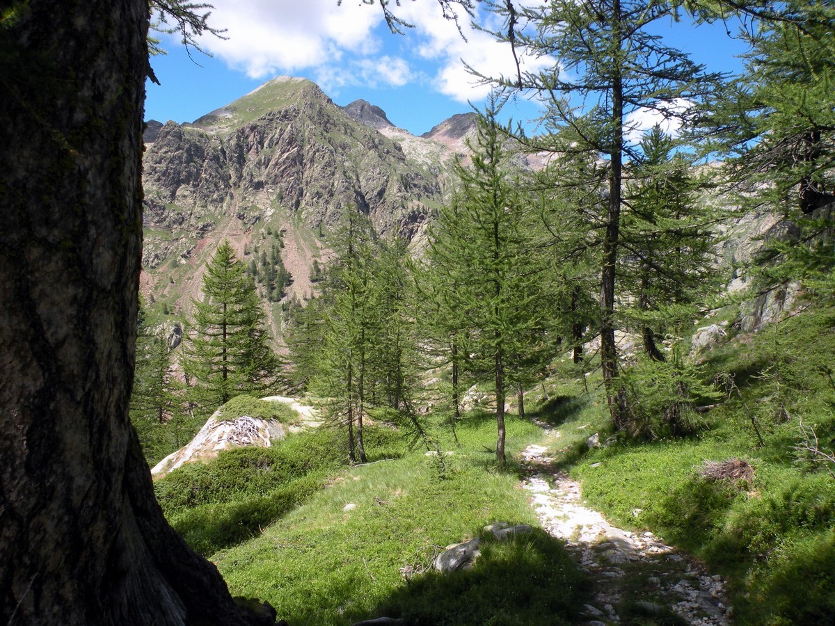 The path from Valmorta Valley on the Giro del Valasco Hike in Alpi Marittime National Park, Italy