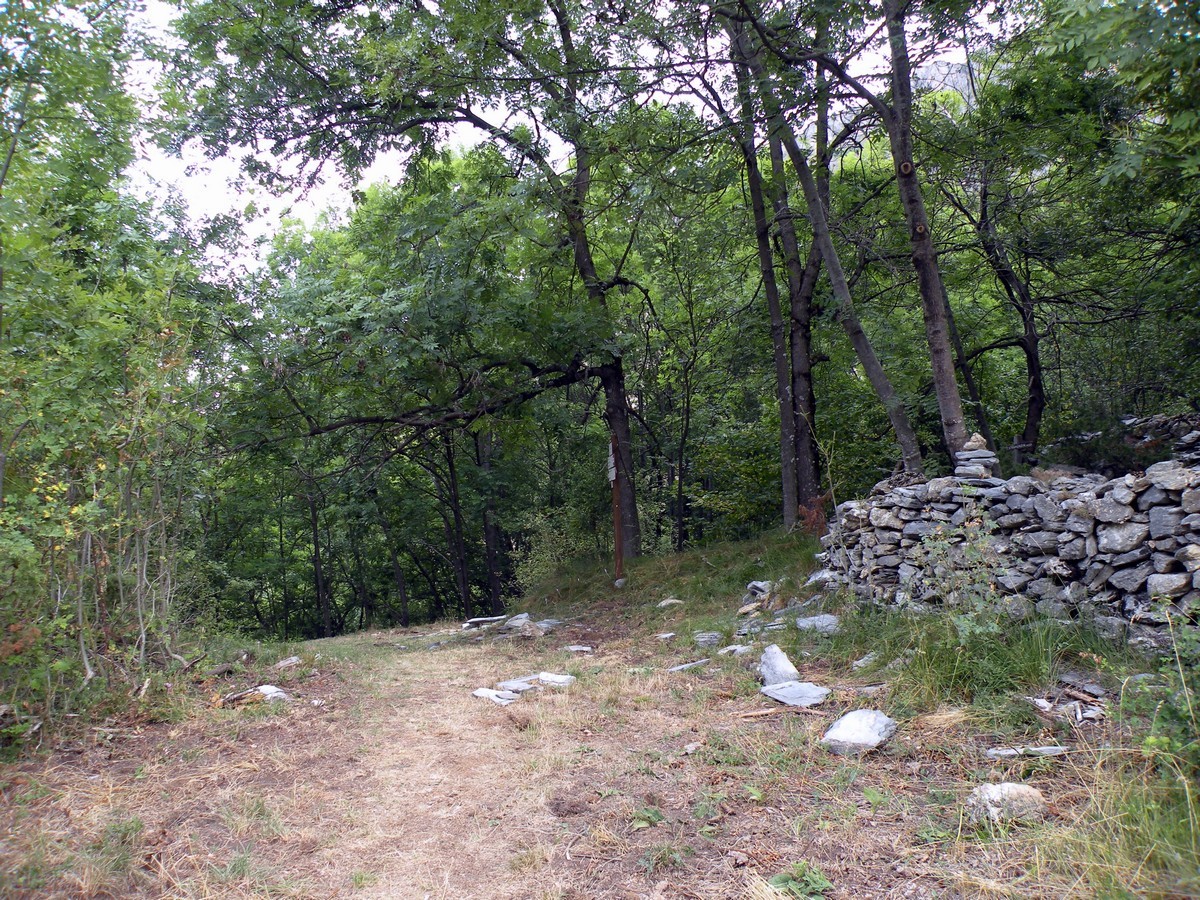 Gorge Della Reina Hike in Alpi Marittime National Park leads through the forest