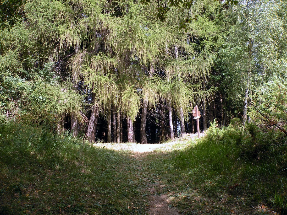 Colletto Della Lausa on the Gorge Della Reina Hike in Alpi Marittime National Park, Italy