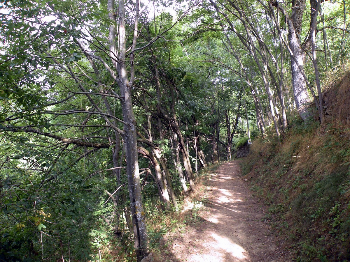 Trail of the Gorge Della Reina Hike in Alpi Marittime National Park, Italy