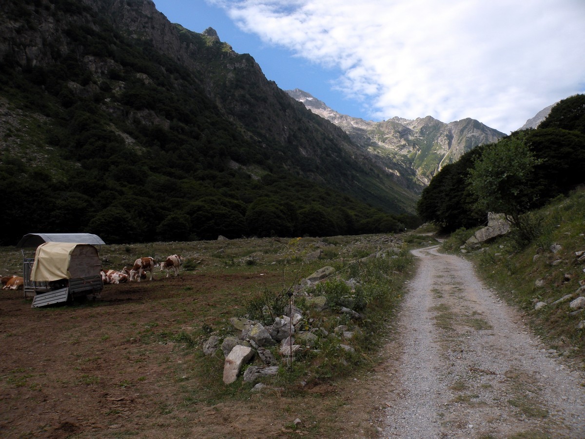 The road up to the valley on the Il Piano del Praiet Hike in Alpi Marittime National Park, Italy