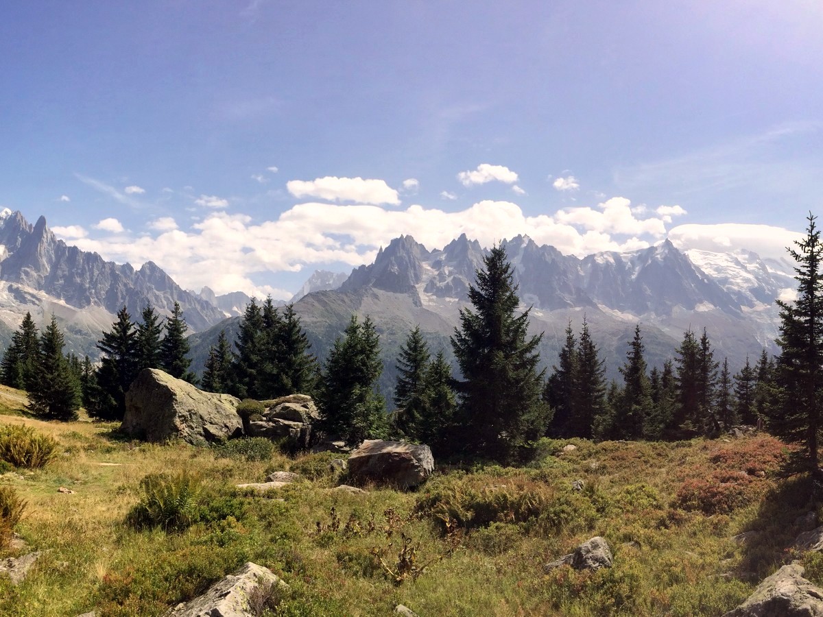 Charlanon Meadow on the Grand Balcon Sud Hike in Chamonix, France
