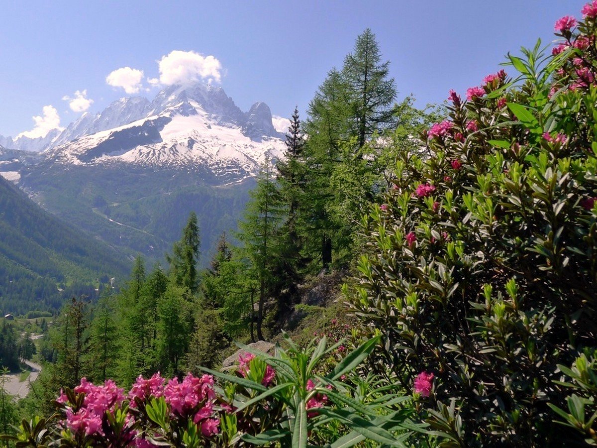 Lac Blanc trail hiking in Franche