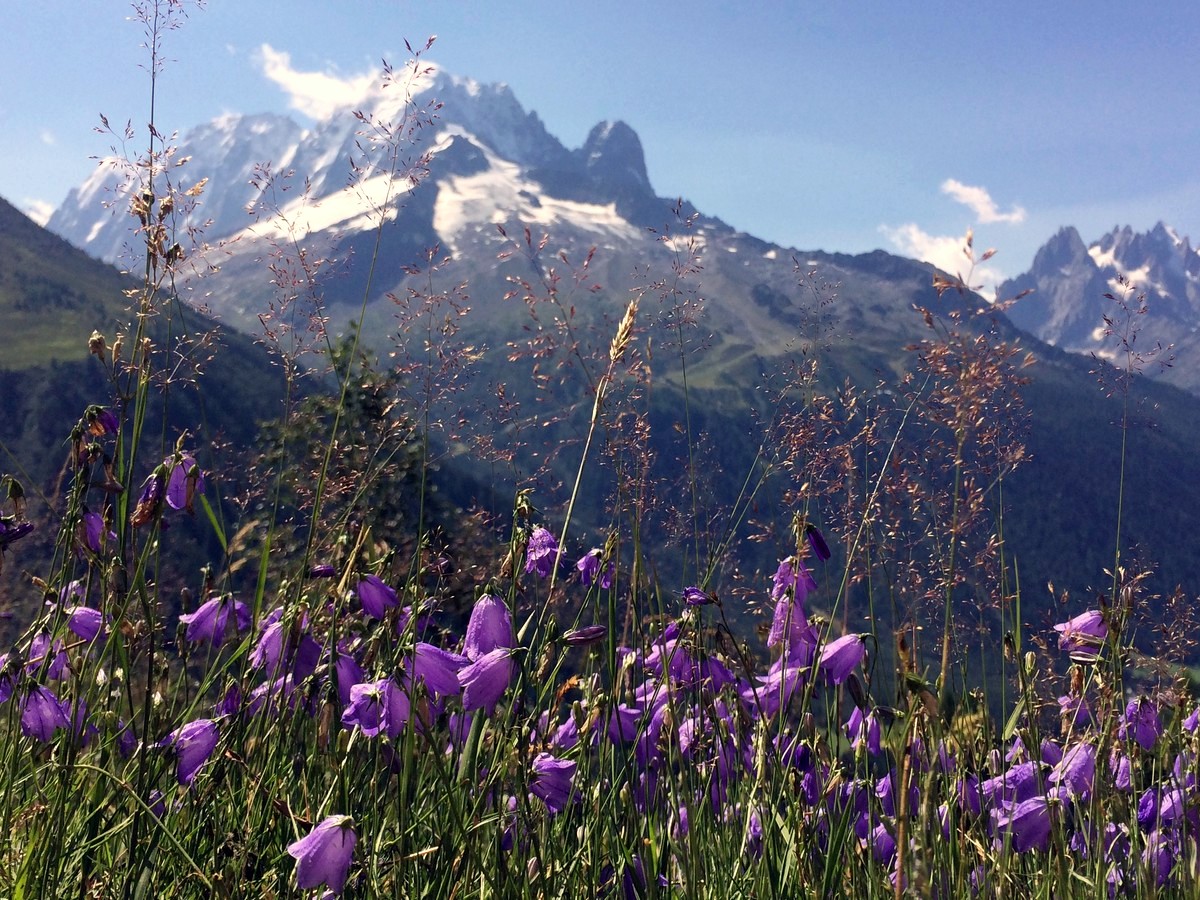 French Alps during the Spring on Les Posettes hike in Chamonix
