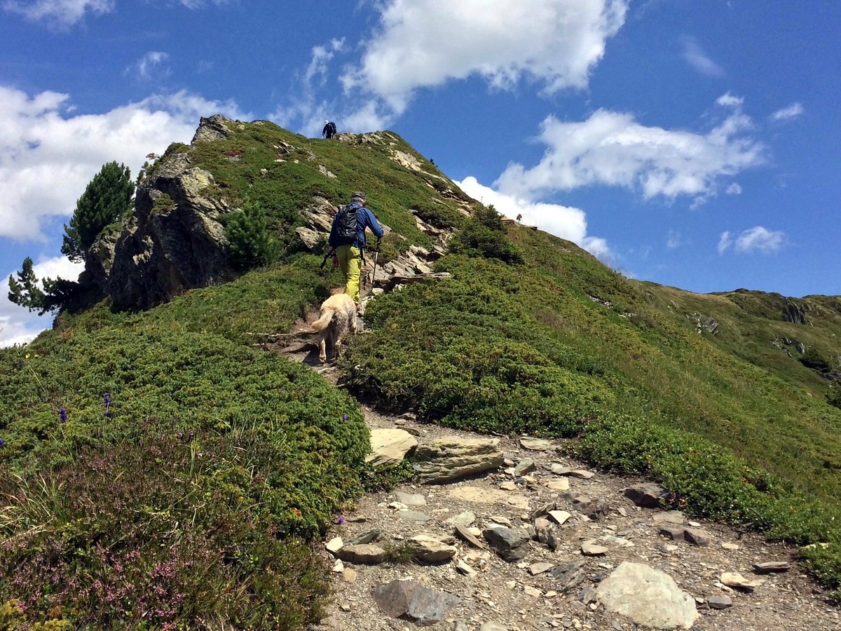 Aiguilletteis des Posettes Hike in France