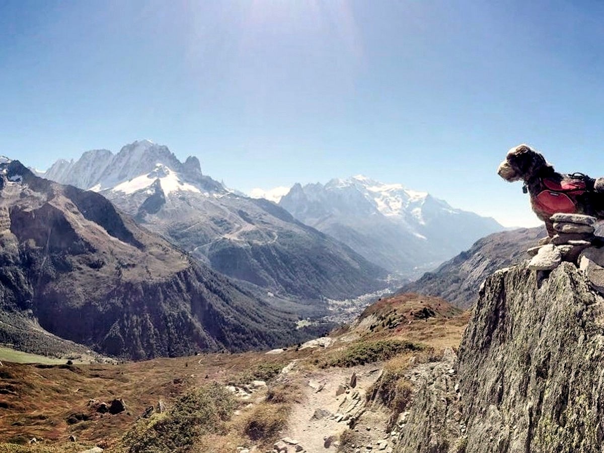 Trail of Aiguilletteis des Posettes in Chamonix