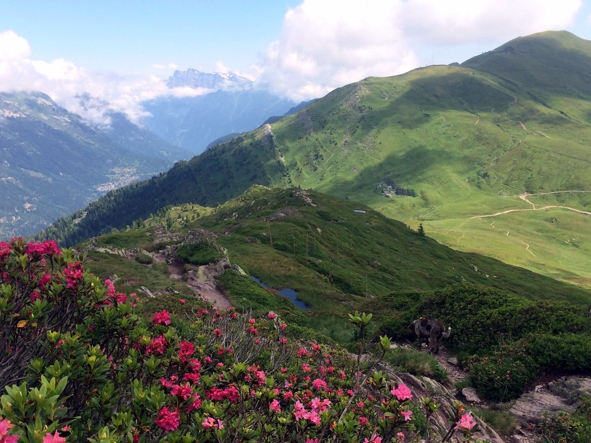 Hiking to the Aiguilletteis des Posettes in Chamonix