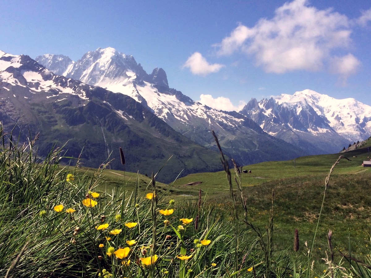 Aiguilletteis des Posettes trail in Chamonix