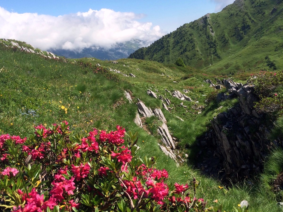 Aiguilletteis des Posettes Hike in Chamonix