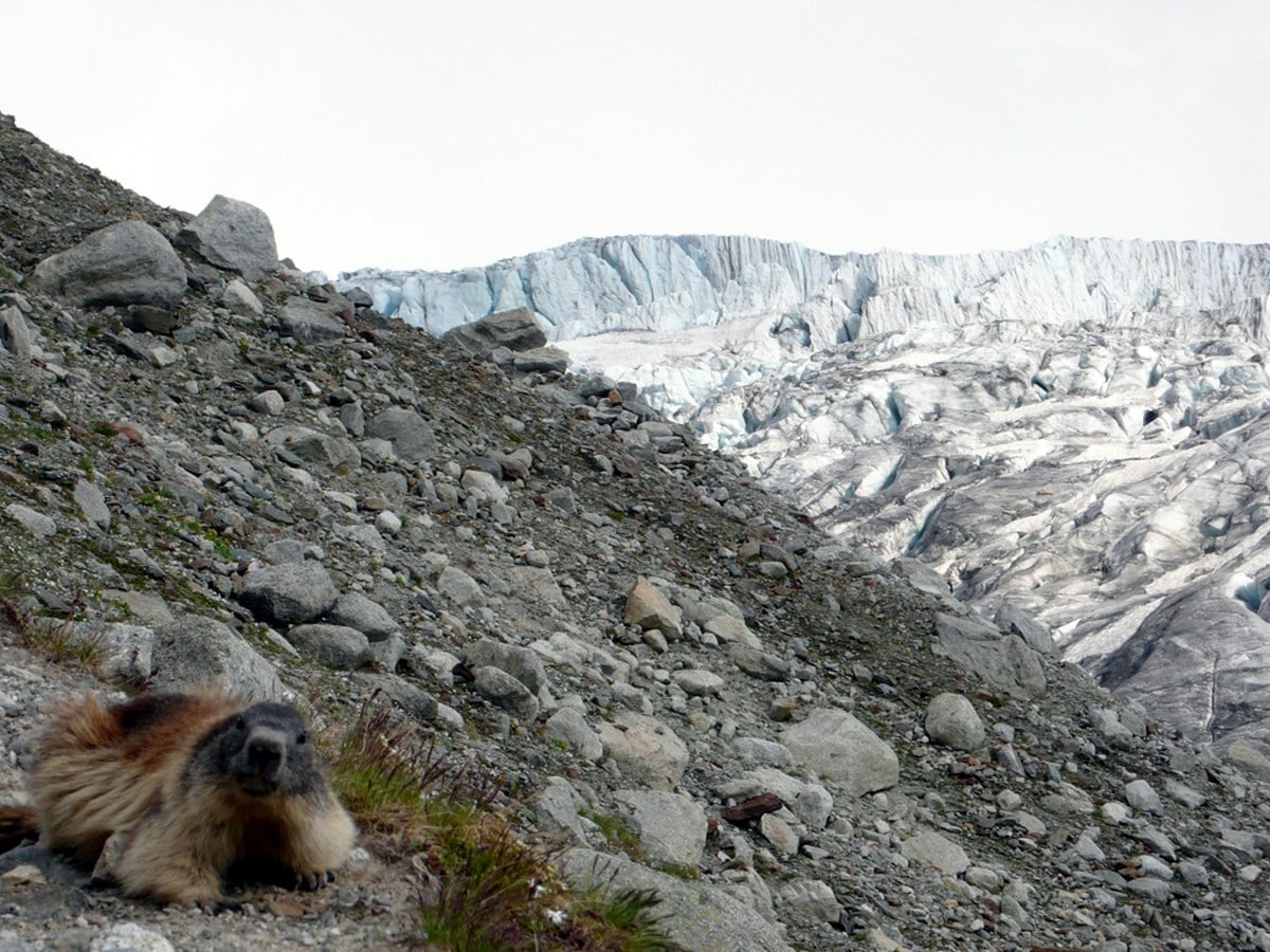 Albert Premiere hike in French Alps