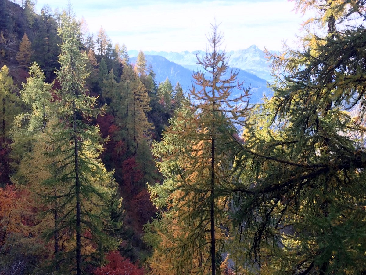 La Jonction trail in Chamonix during the autumn