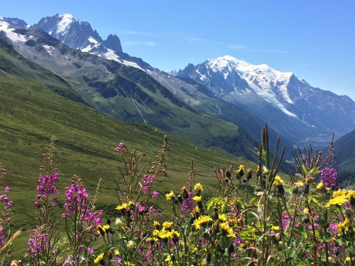 Col de Balme trail from Chamonix