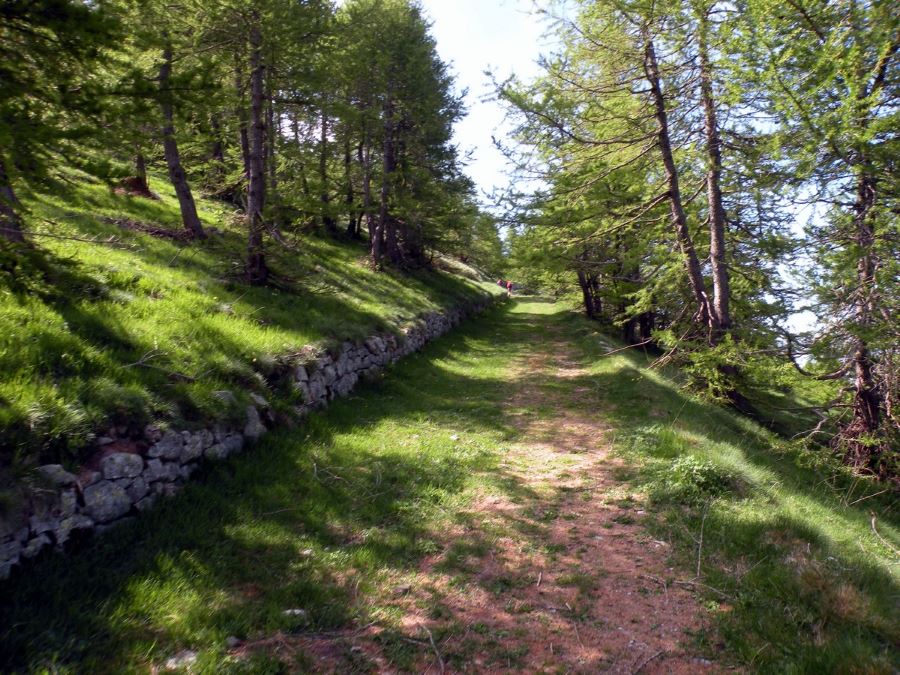 The path to Milles Fourches Fort on the Authion Hike in Mercantour National Park, France