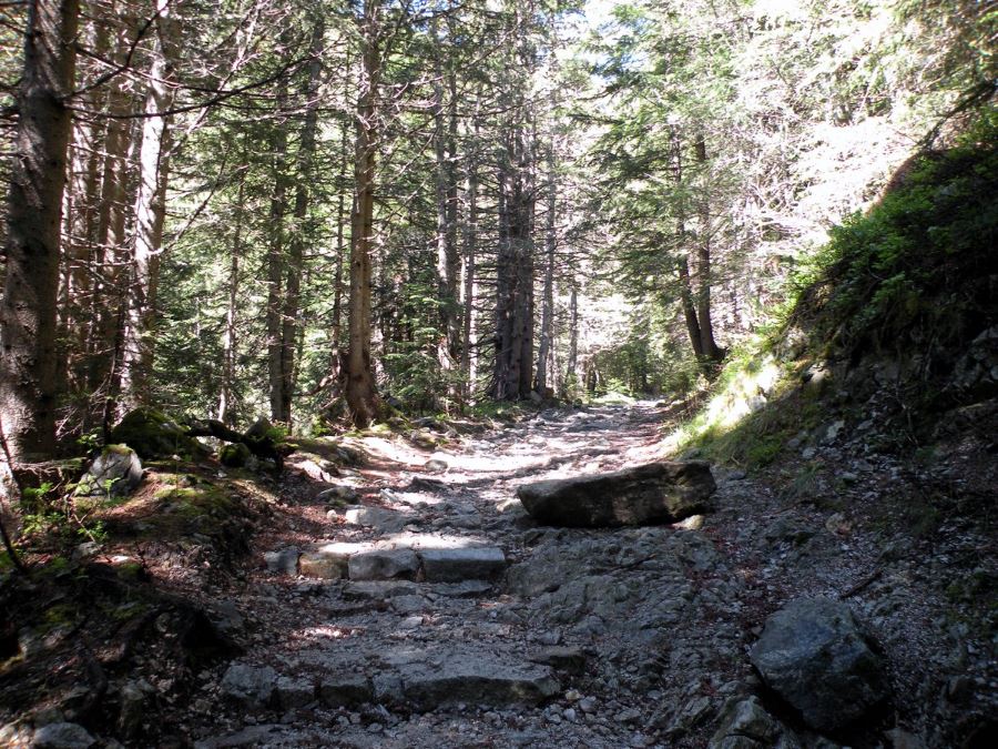 Following the path to the La Lac Nègre