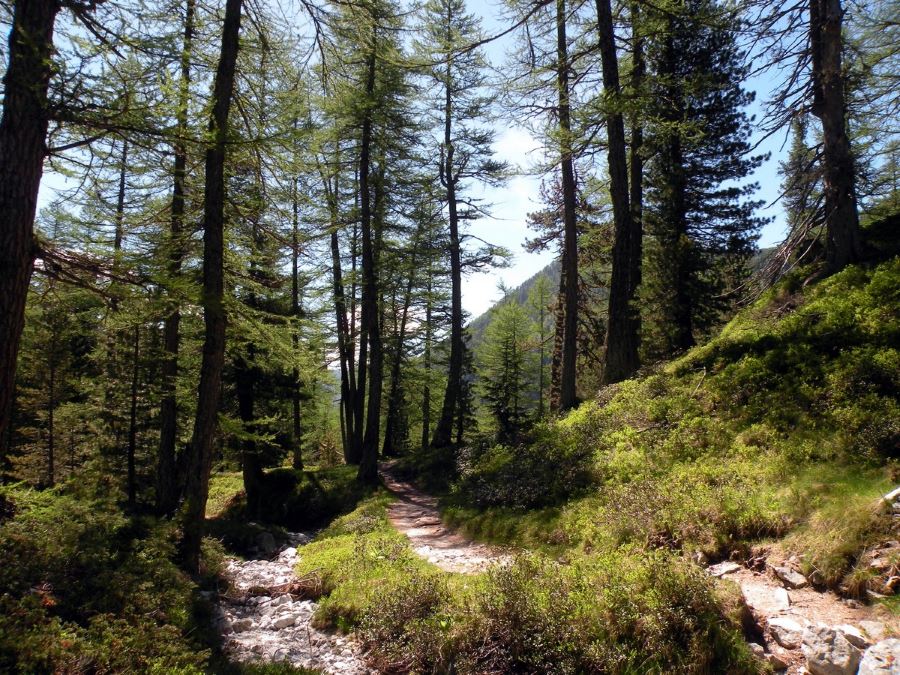 Trail to the La Lac Nègre