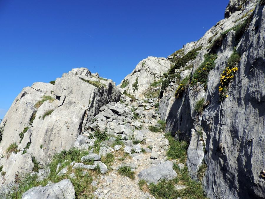 The path on the cliff on the Le Mont Mounier Hike in Mercantour National Park, France