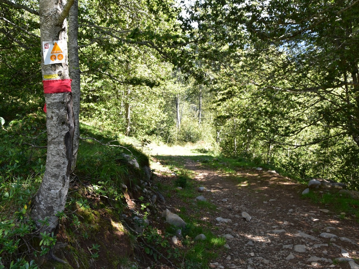 Orange signs on the Cagire Loop Hike in French Pyrenees