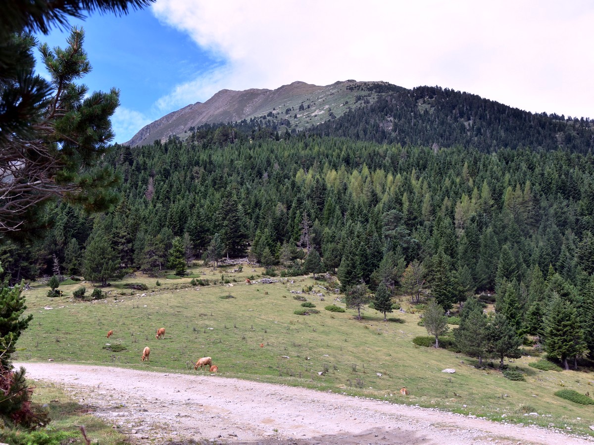 Reaching the main track on the Pic du Canigou Hike in French Pyrenees