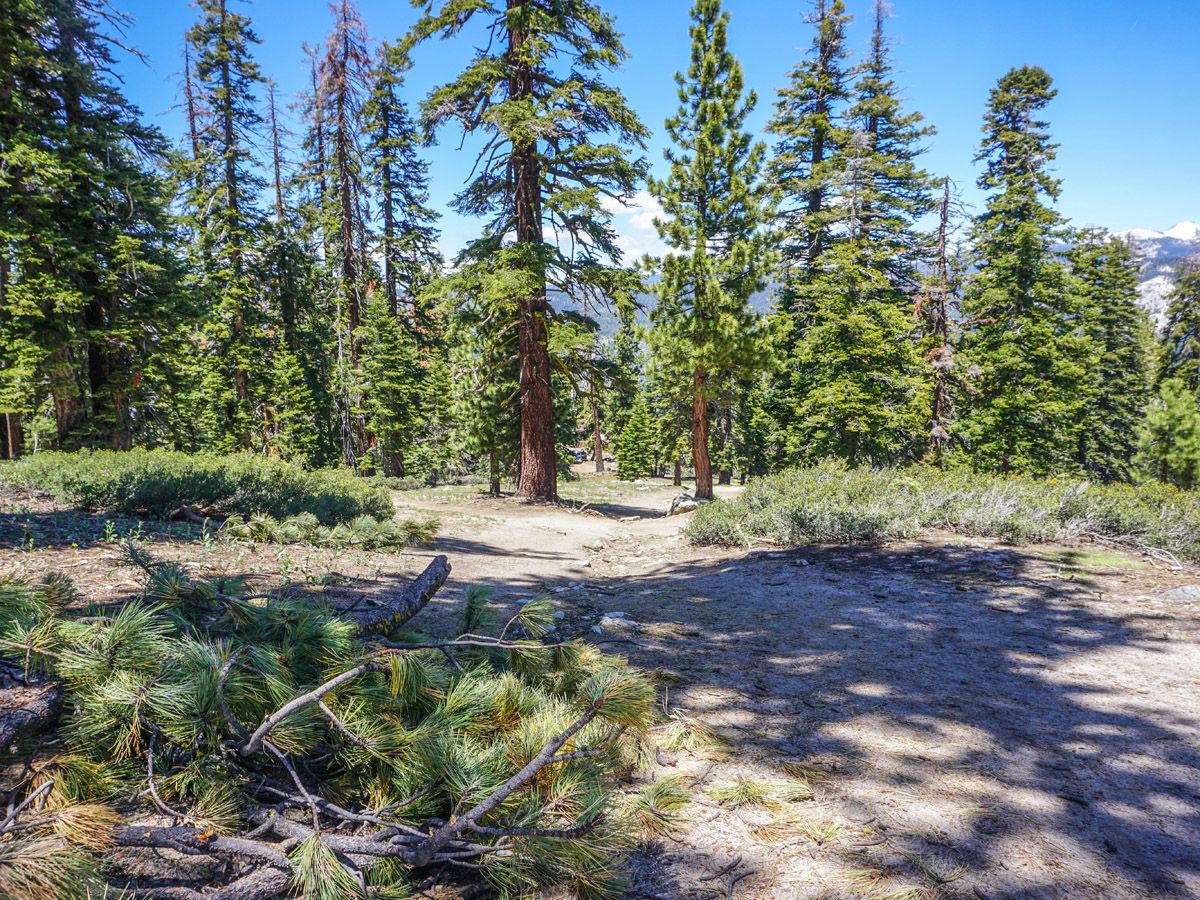 Hiking trail at Sentinel Dome to Glacier Point Hike Yosemite