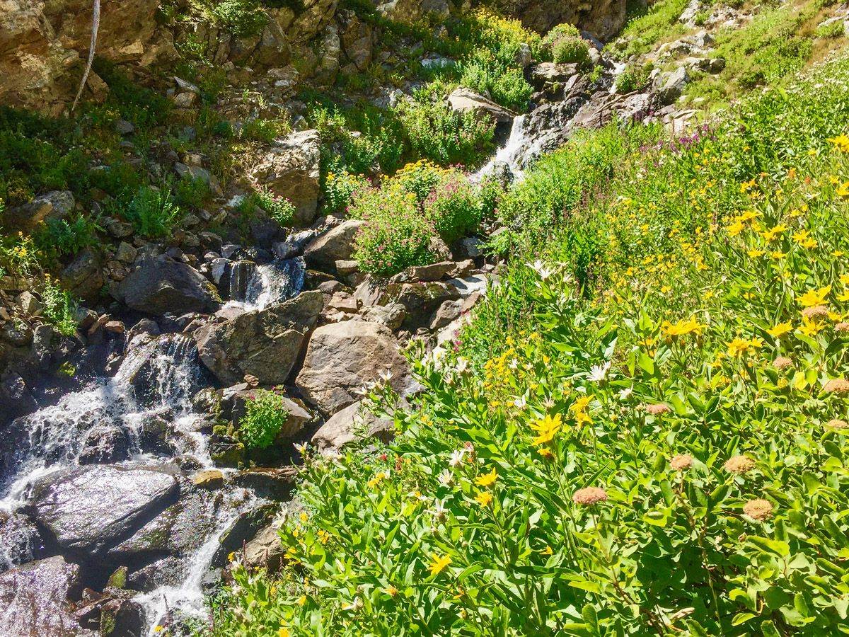 Stream at Hanging Canyon Hike in Grand Teton National Park