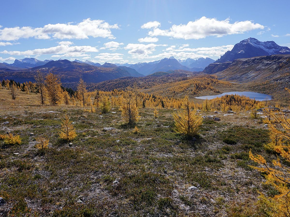 Views of the Healy Pass Hike from Banff, Banff National Park