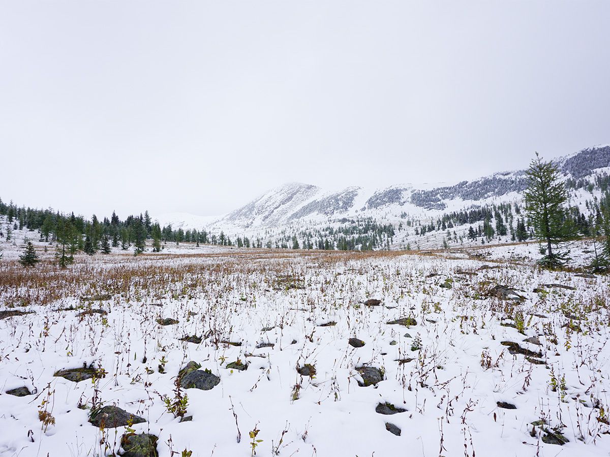 Landscape on the Healy Pass Hike from Banff, Banff National Park