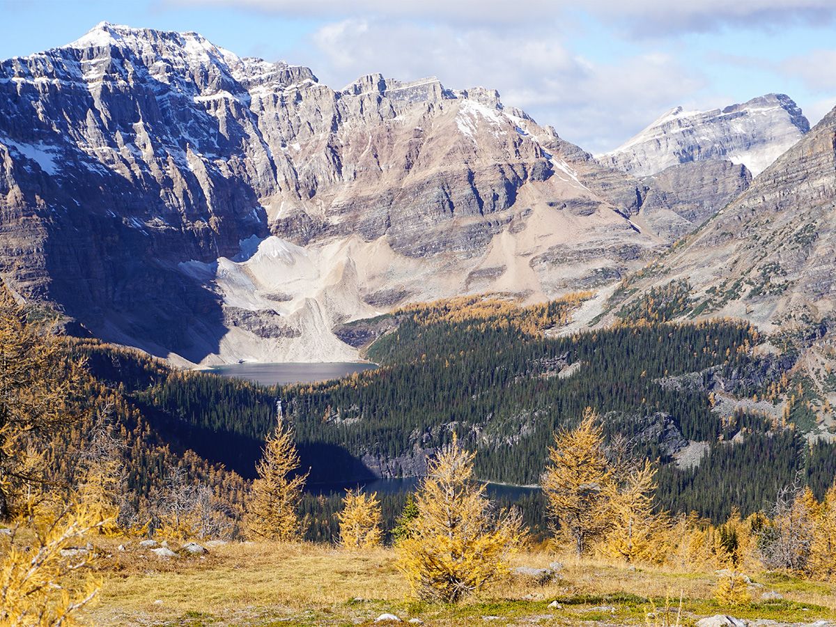 Mountain at Healy Pass Hike in Banff National Park