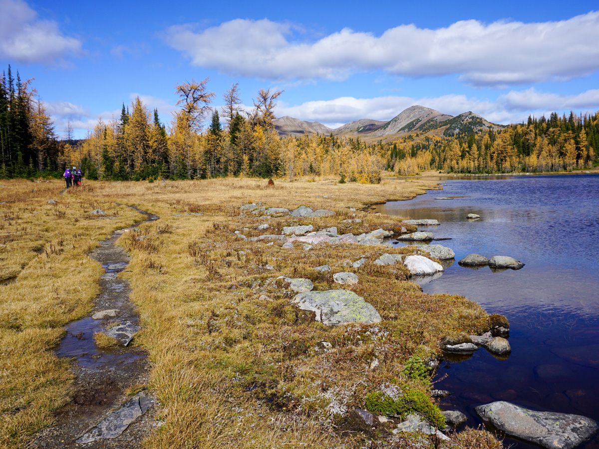 Lake at Healy Pass Hike in Banff National Park